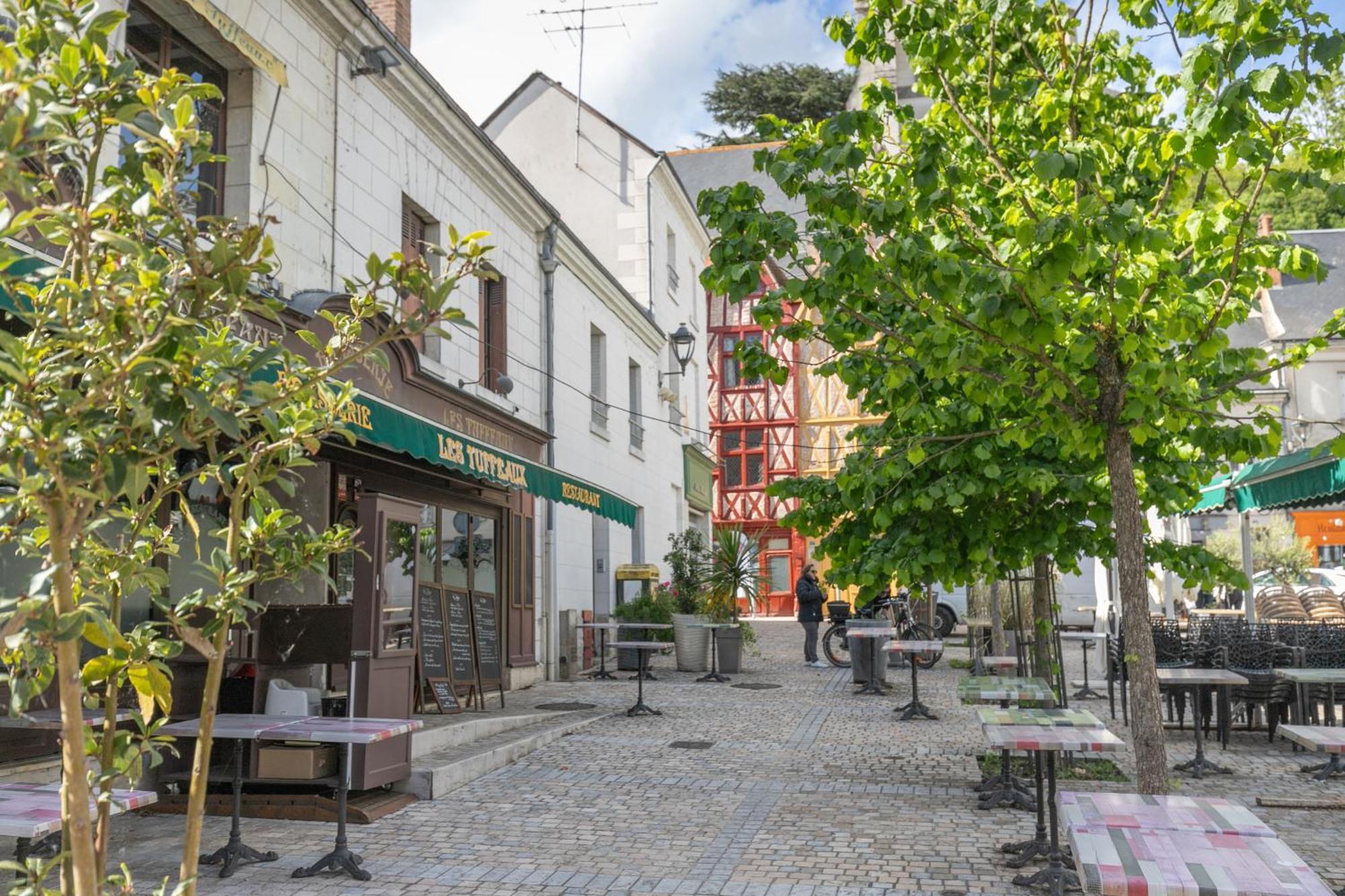 Le Sully - Maison Coeur De Ville Montrichard Esterno foto